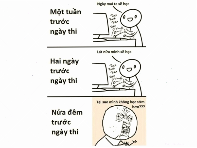 Avatar meme "Ôn tập trước ngày thi"