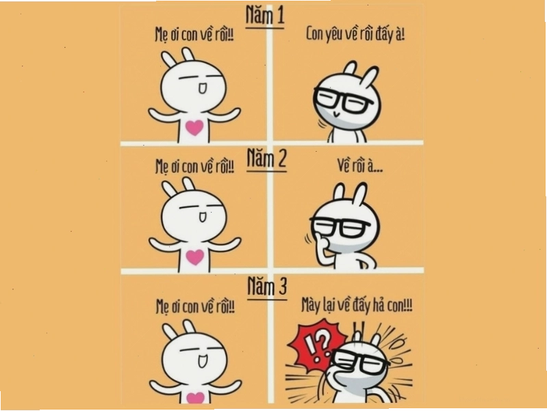 Avatar meme "Thái độ phụ huynh 3 năm đại học với con"