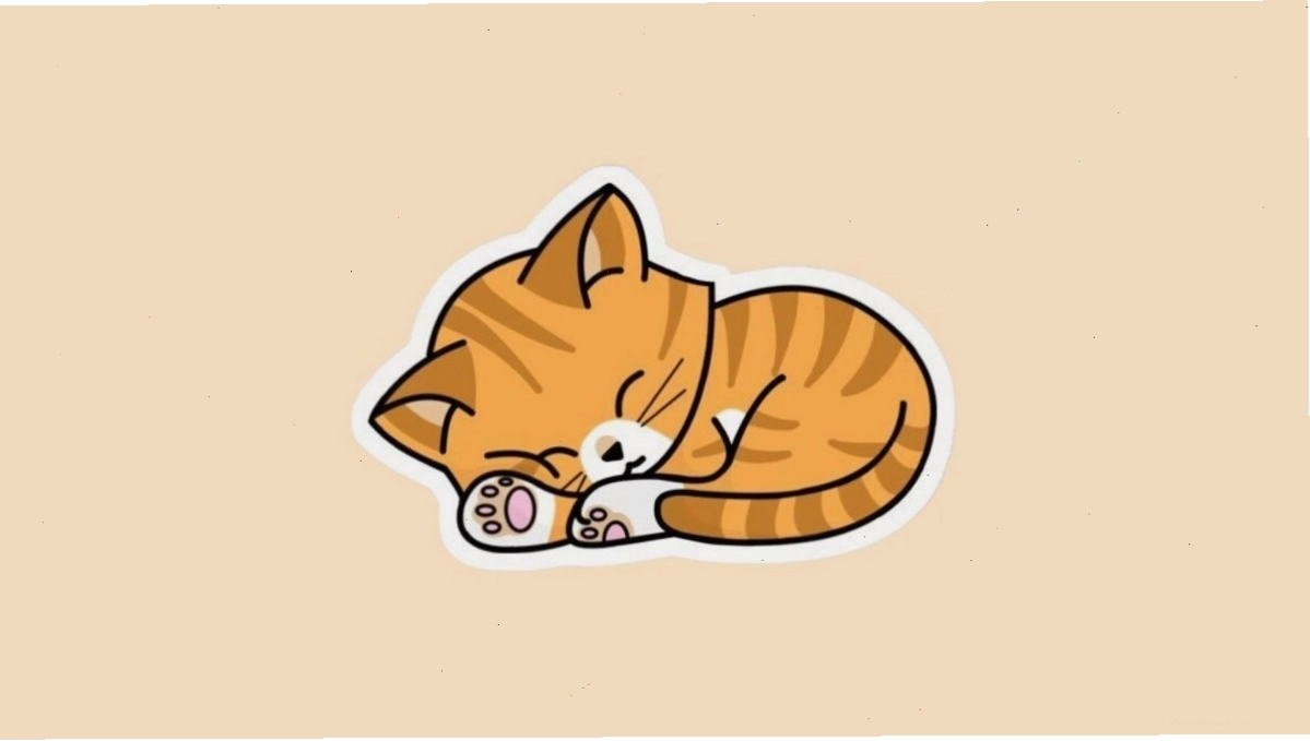 Avatar mèo chibi đội mũ sinh nhật