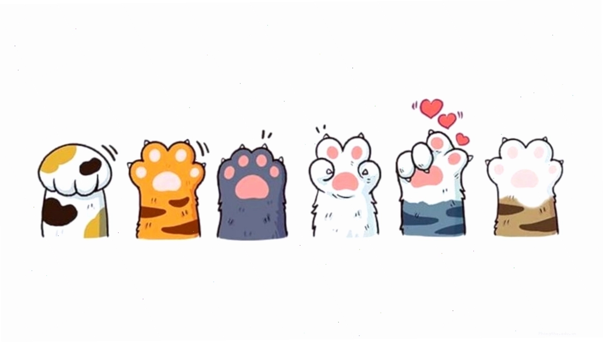Avatar mèo chibi với biểu cảm ngạc nhiên