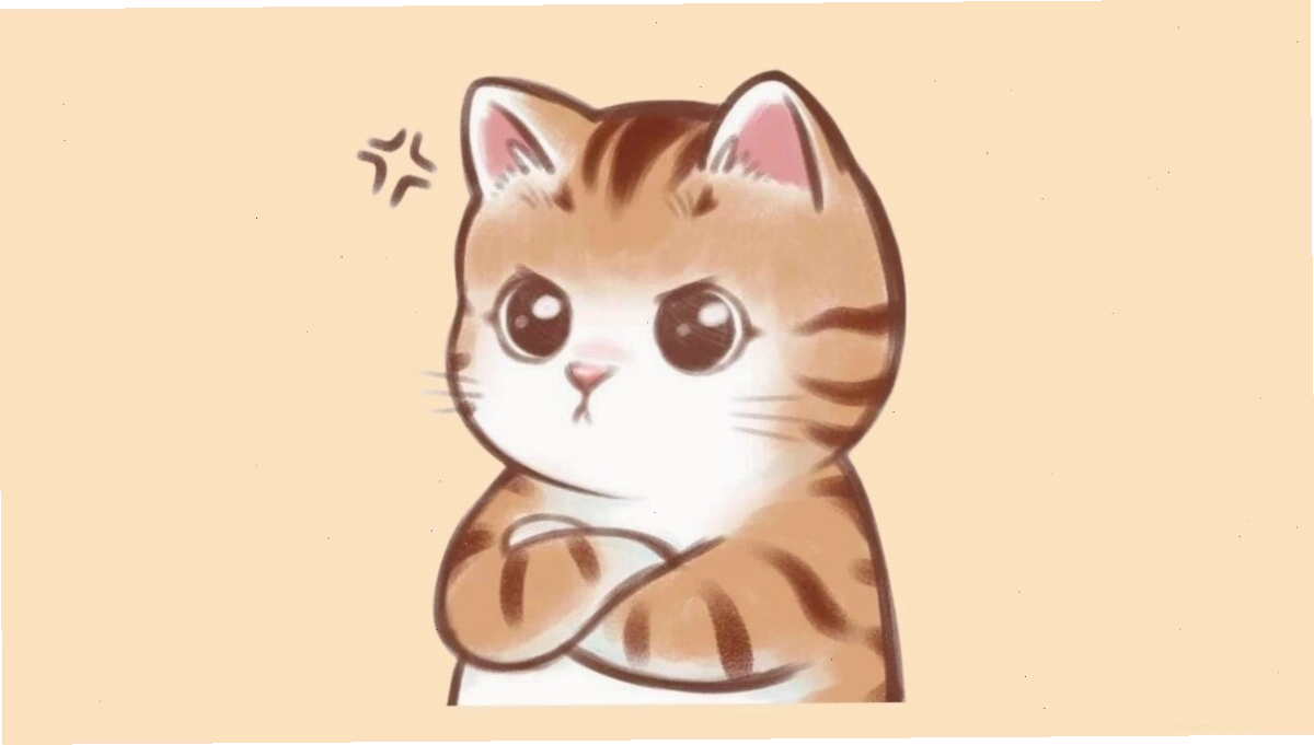 Avatar mèo chibi với đôi tai hình trái tim