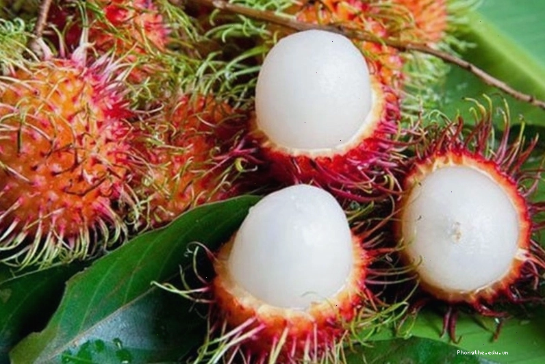 Bà bầu ăn chôm chôm được không? Một số lưu ý mẹ bầu cần biết 2