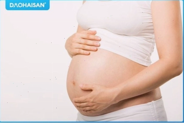 Bà bầu ăn ốc hương có tốt không? Giá trị dinh dưỡng của ốc hương