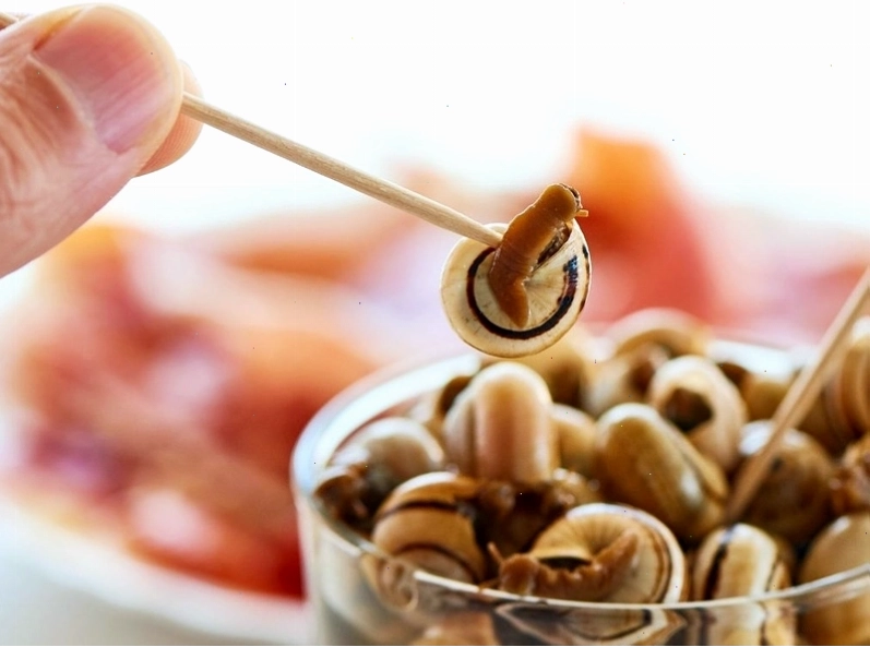 Bà bầu cần tránh các loại ốc có nguy cơ nhiễm ký sinh trùng cao