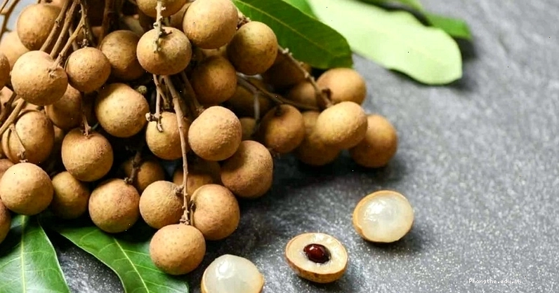 Bà bầu nên ăn nhãn với lượng vừa phải và đảm bảo vệ sinh an toàn thực phẩm