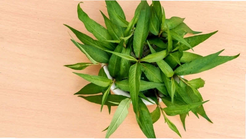 Bà bầu nên cẩn trọng khi ăn rau răm trong thai kỳ