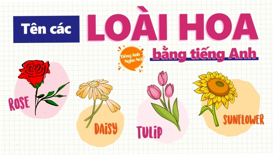 Bảng tổng hợp tên các loài hoa bằng tiếng Anh, trong đó có lily of the valley