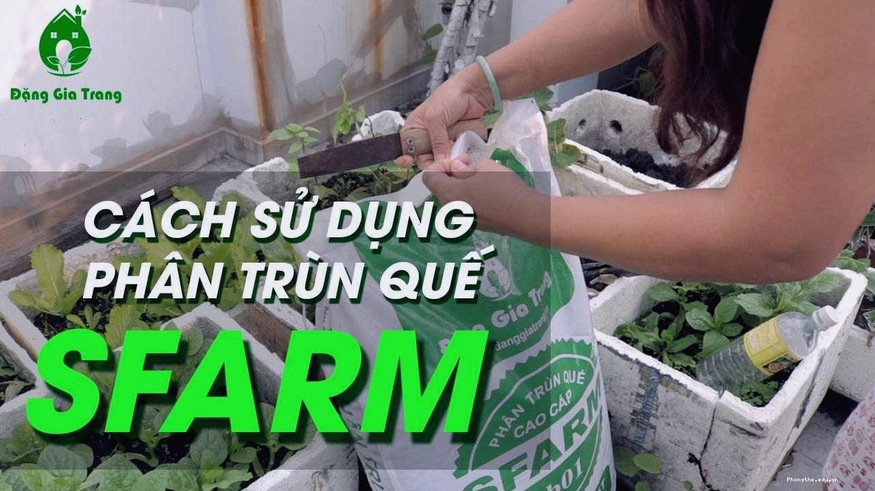 Bao phân trùn quế SFARM