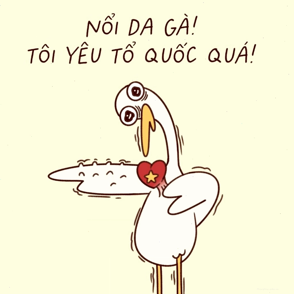 Biểu tượng chiếc băng đô in hình cờ Việt Nam