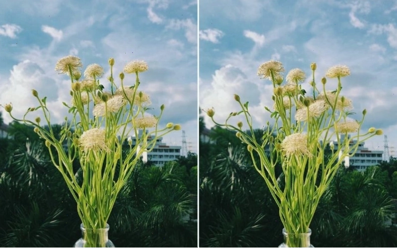 Bình hoa Thúy Châu được cắm tinh tế