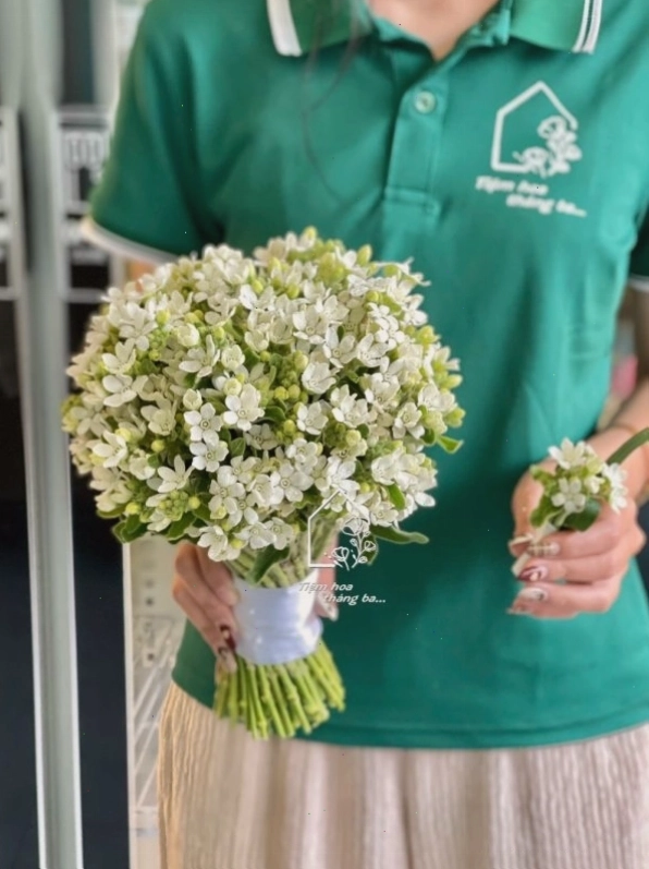 Bông hoa sao trắng tinh khôi với cánh mỏng manh và nhụy vàng