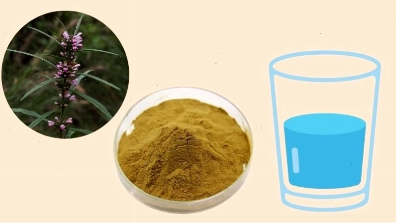 Bột ích mẫu hòa vào nước bôi lên vú giúp chữa tắc tia sữa