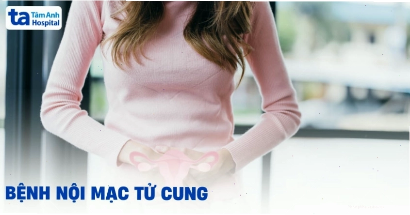 Các bệnh lý liên quan đến nội mạc tử cung