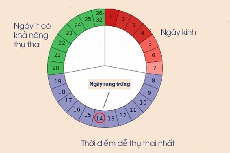 Các biện pháp tránh thai phổ biến