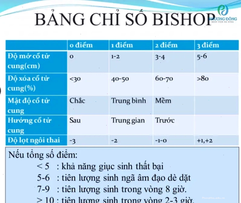 Cách tính chỉ số Bishop dựa vào tổng điểm của từng tiêu chí