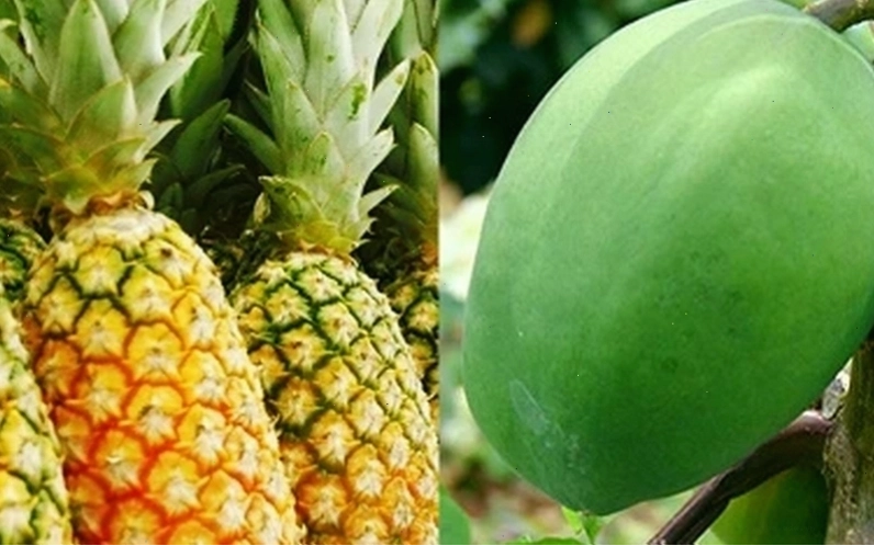 Canh giá đỗ thanh mát tốt cho bà bầu