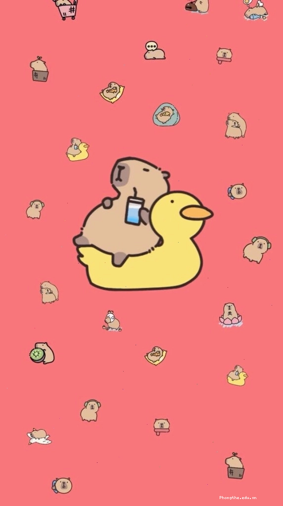 Capybara thư giãn trên phao vịt
