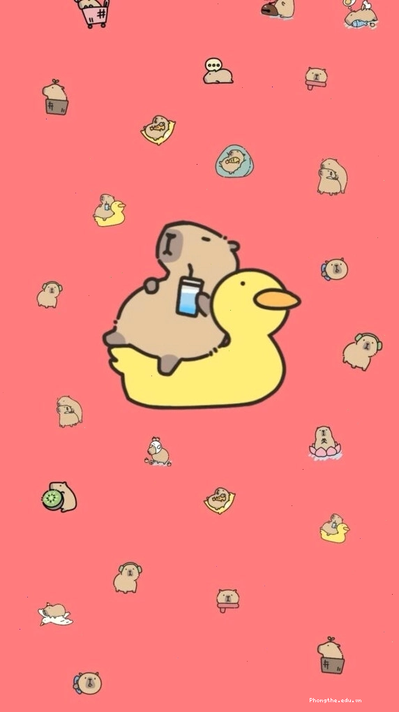 Capybara thư giãn trên phao vịt