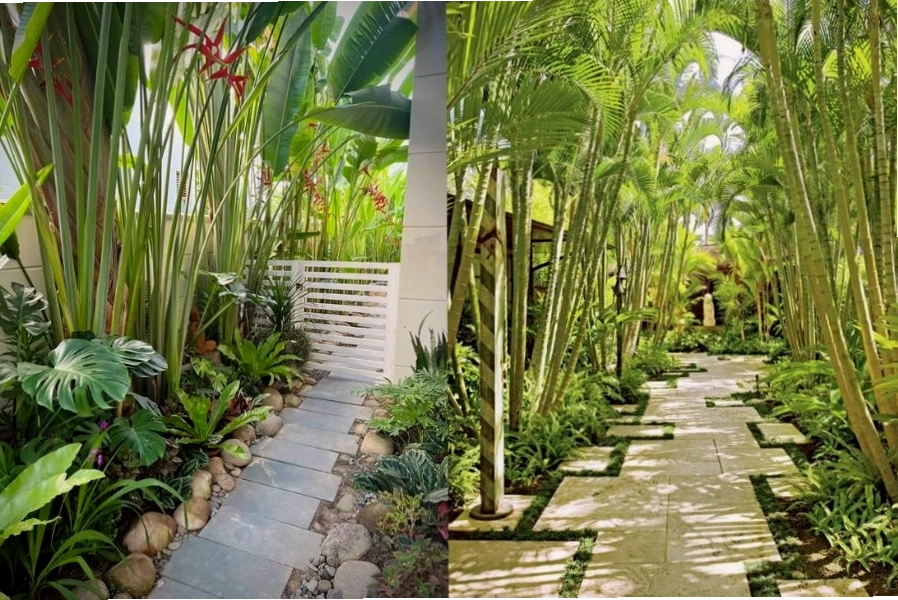 Cây xanh đa dạng giúp cải thiện không gian sống