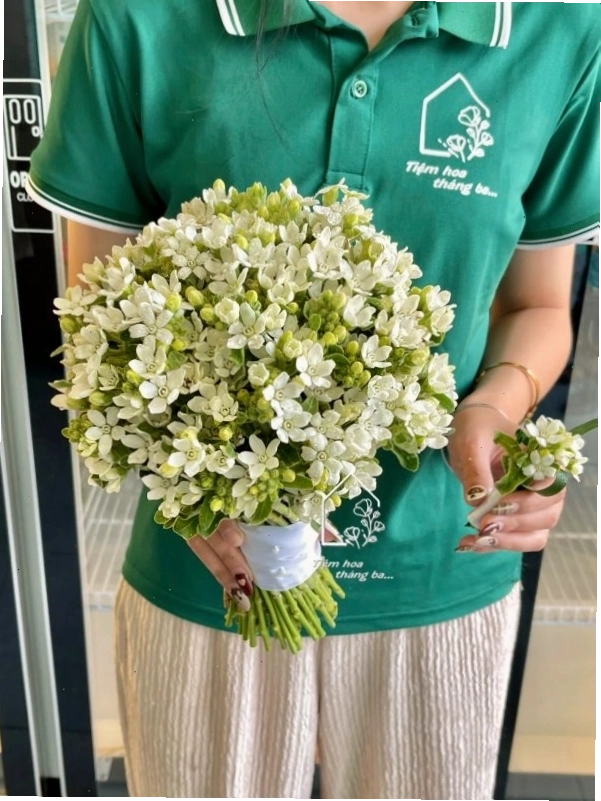 Chậu đất trồng hoa sao trắng tơi xốp và giàu dinh dưỡng