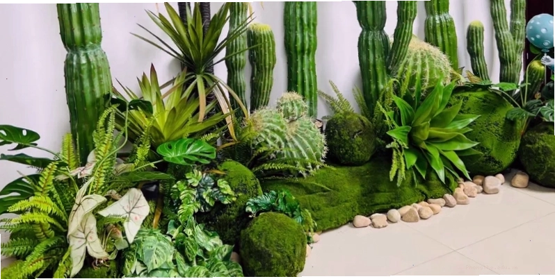 Chậu xương rồng nhỏ xinh trang trí bồn hoa
