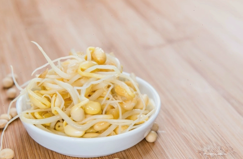 Chọn mua giá đỗ sạch, an toàn cho bà bầu