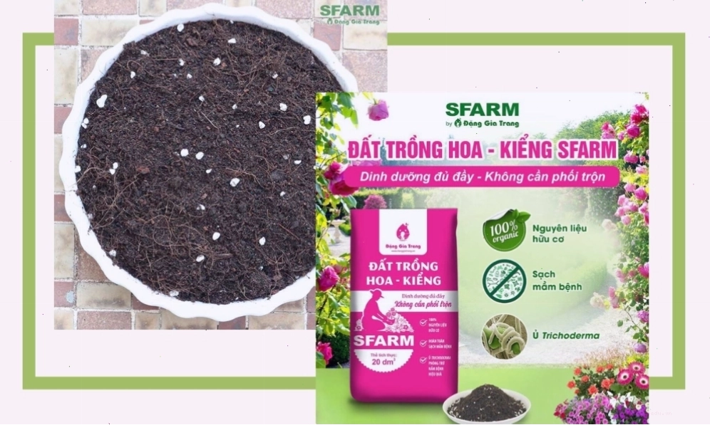Đất trồng tơi xốp giàu dinh dưỡng cho cây loa kèn hồng