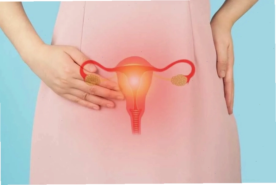 Đau bụng dưới là dấu hiệu thường gặp khi vỡ nang buồng trứng