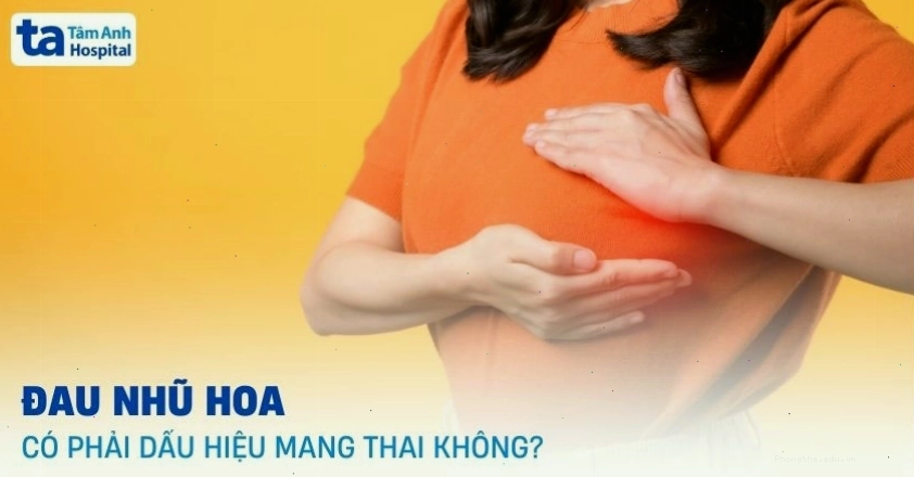 Đau nhũ hoa có thể là dấu hiệu mang thai sớm