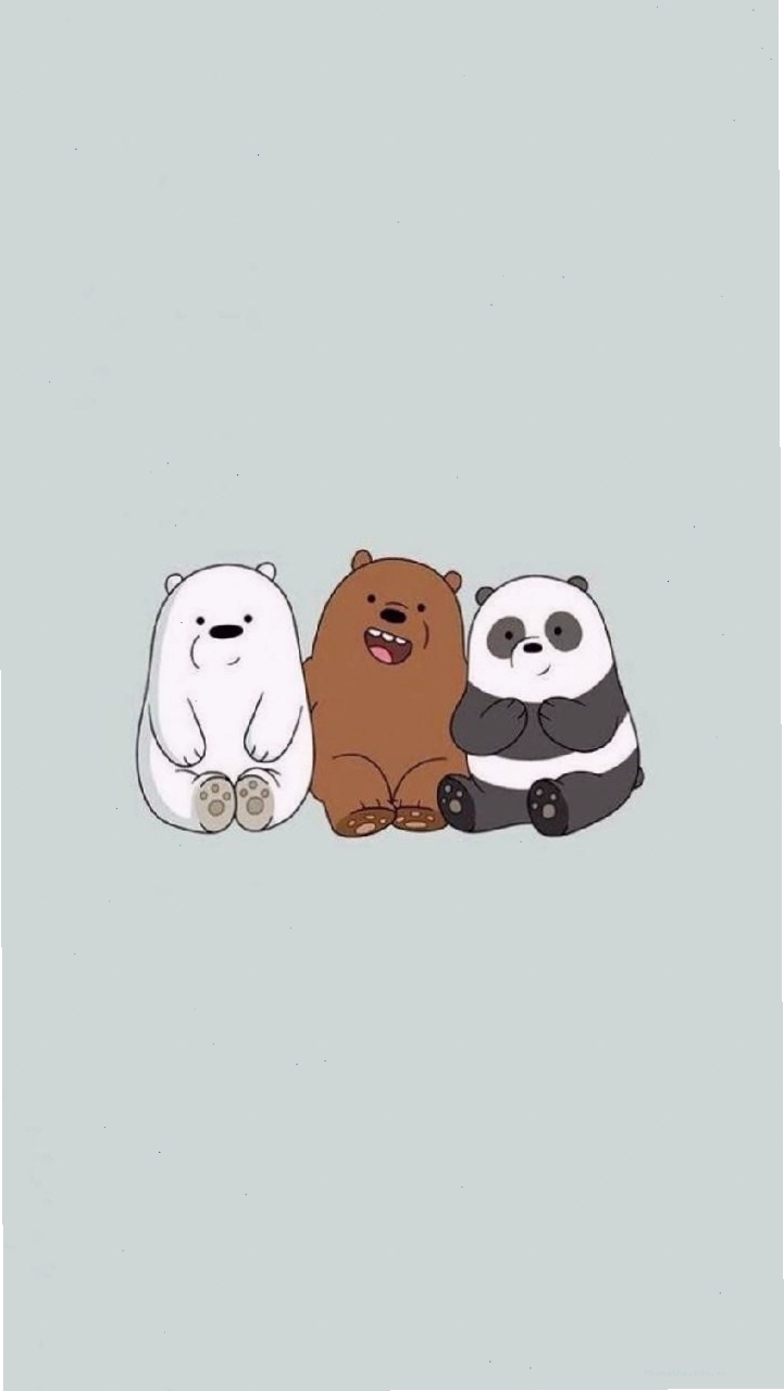 Gấu trắng đội mũ len dễ thương