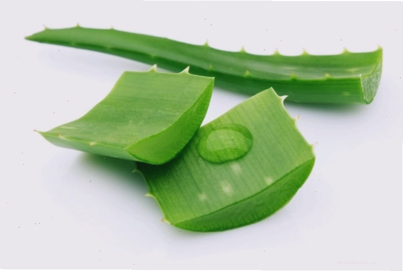 Gel nha đam giúp làm dịu da và giảm cảm giác ngứa vùng kín