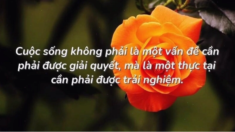 Hình ảnh minh họa con người chia sẻ tâm sự