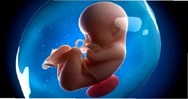 Hình ảnh minh họa quá trình hồi phục sau phá thai bằng thuốc
