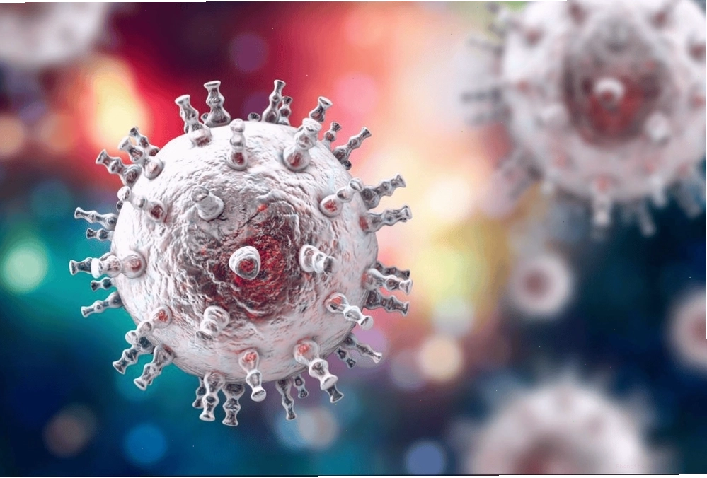 Hình ảnh virus Herpes Simplex gây mụn rộp sinh dục ở nam giới