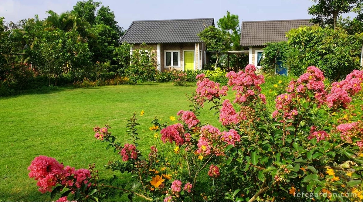 Homestay ngoại thành Hà Nội Fefe garden, không gian thư giãn