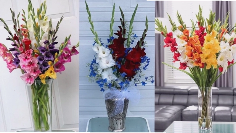 Hướng dẫn cách cắm hoa lay ơn đơn giản và đẹp mắt