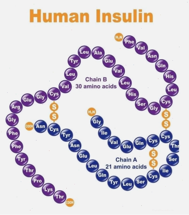 Kháng insulin là một trong những nguyên nhân chính gây đa nang buồng trứng