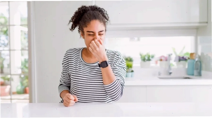 Khứu giác nhạy bén có thể là dấu hiệu thụ thai thành công
