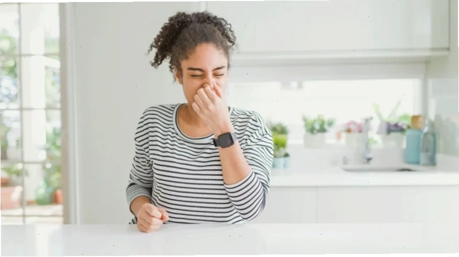 Khứu giác nhạy bén là một trong những dấu hiệu thụ thai thành công sau quan hệ điển hình