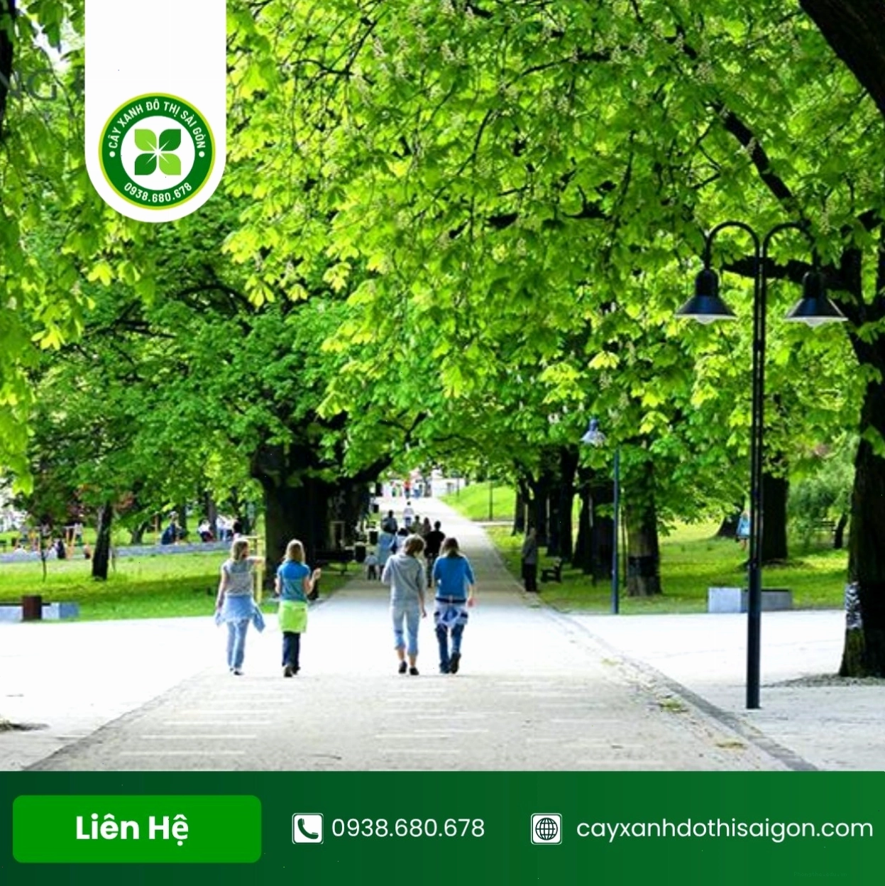 Lợi ích của cây xanh đối với môi trường và con người