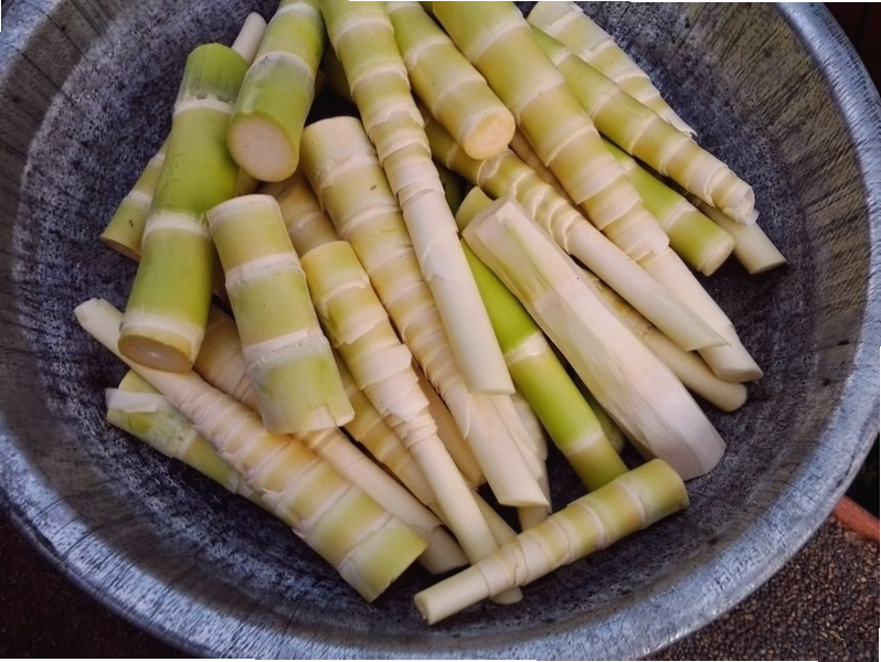 Măng tây là loại măng an toàn và bổ dưỡng cho bà đẻ