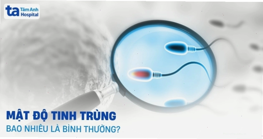 Mật độ tinh trùng bình thường và ý nghĩa của chỉ số này