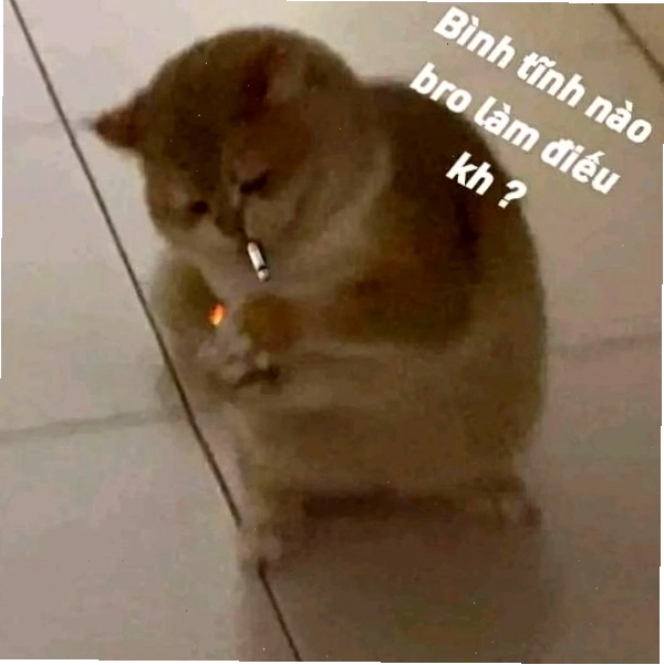 Meme 