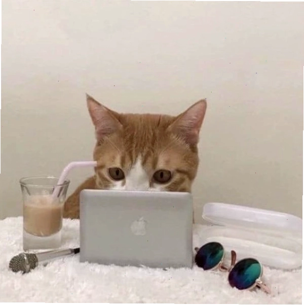 Meme chế cảnh tay gõ bàn phím điên loạn dưới áp lực deadline