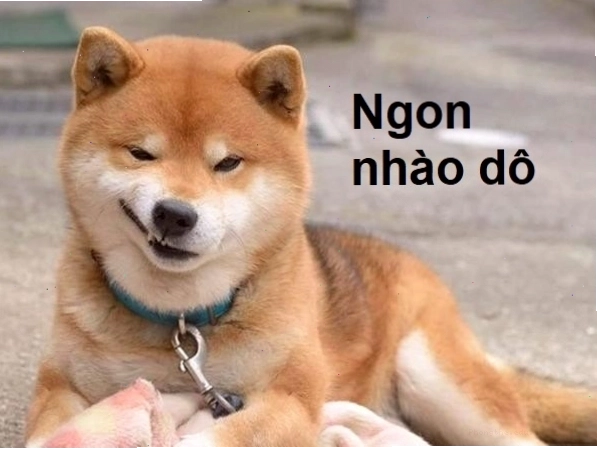 Meme chó cười nhếch mép đầy tự mãn