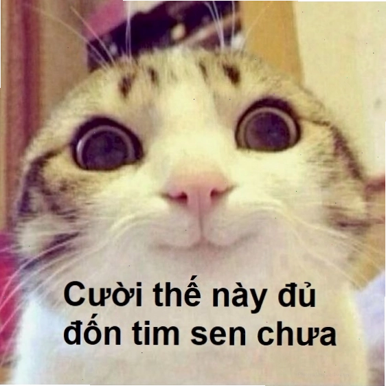 Meme cười mỉm đầy ẩn ý