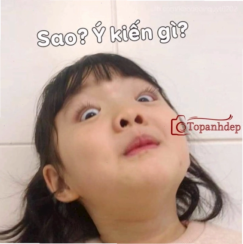 Meme em bé cute hài hước
