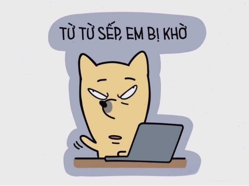 Meme mèo hài hước với biểu cảm ngộ nghĩnh