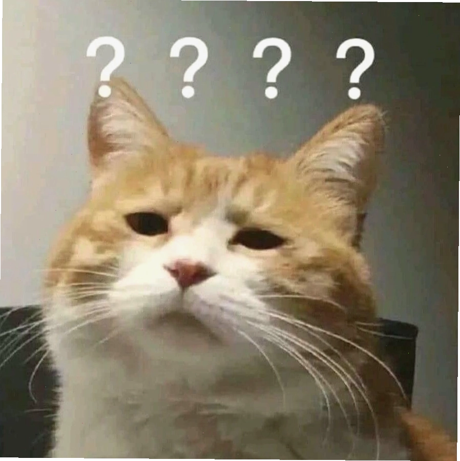 Meme mèo ôm nhau đầy tình cảm