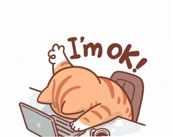 Meme mèo với biểu cảm hoang mang khi deadline dí